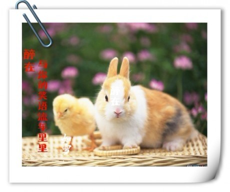 Ц Ц, ɢ 100350ailuwe8ylaenaiwg