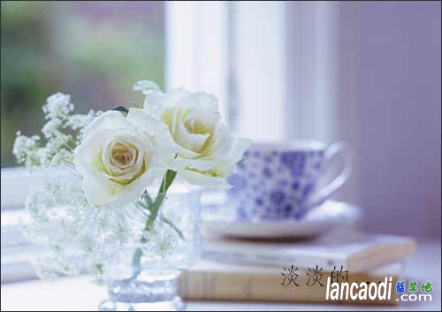 ΪڵĻ˼ Ļ,˼ ɢ 234926g70b4xxpb27i6w7a