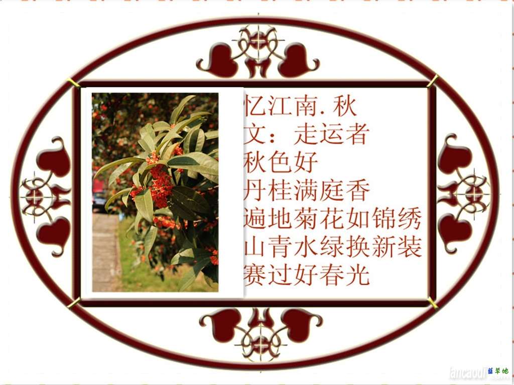 佭. 佭 Ͻ 135323nnz3fy69ws3shmmn