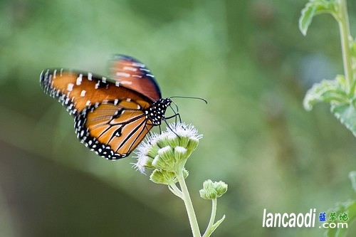 һԲ һ,Բ ִʫ 212102qwwvk66hjkdakvbw