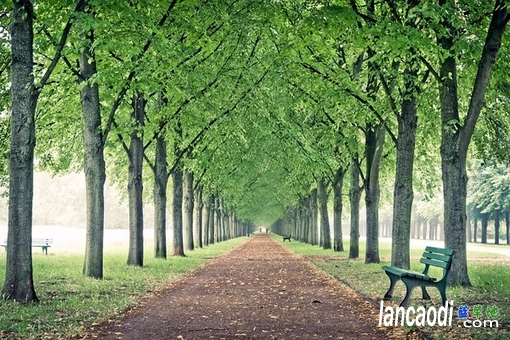   ִʫ 181825ten70e99h009egnn