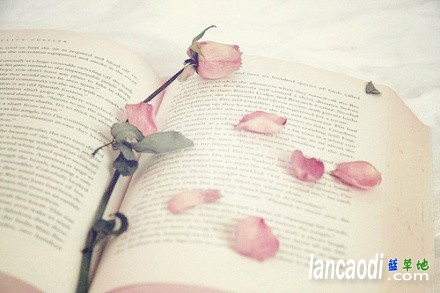 ˱  ִʫ 105427fa3cje3dqiqcjxzf