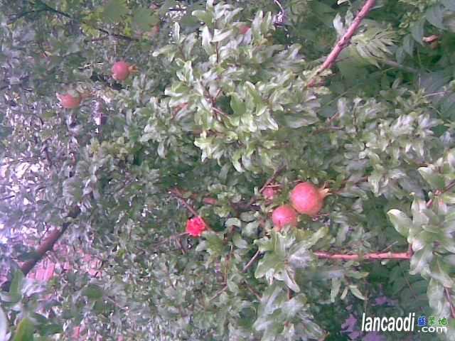 --ʯ ʯ,,Ⱥ, ִʫ 061327zk229eevbt2pa7ai