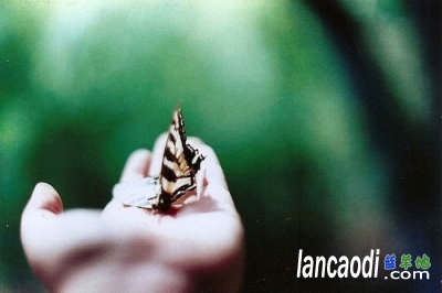 һɫļį ,,һ,į ִʫ 214624miskxozoy9fxo3ys