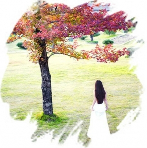 ĸ裬ٳ ,ĸ, ִʫ 205739upy4ykx22wo72q75