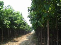 ļ֮ ļ֮ ִʫ 085243qb5511bwd55eh5s5