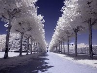 ļ֮ ļ֮ ִʫ 085430kfx4u51u3ifif5qz