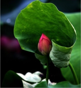 д˼˭ ,˼,˭ ִʫ 110019d2xorkokjkooxudg