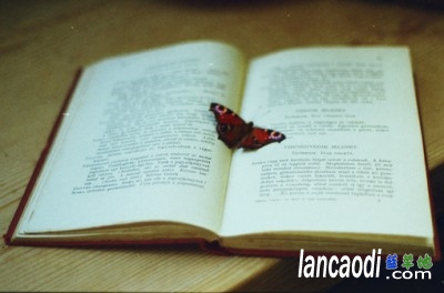 һָ쳾Թ⼸ һָ,쳾, ִʫ 110347fhtmtznphgenhogh