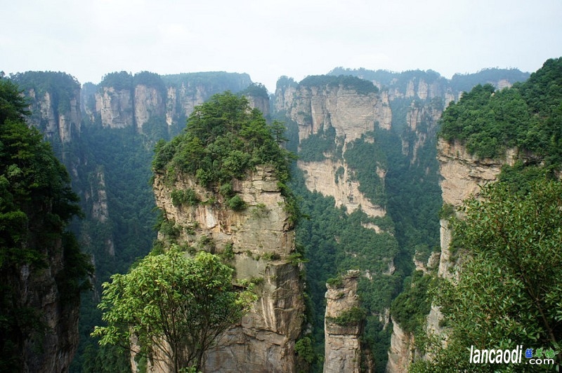 ֮ãżҽ ,֮,żҽ ɢ 104721w1hx5ihx6g16v63z