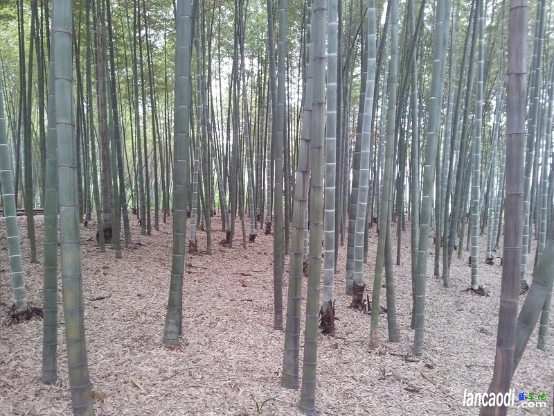 ֮ãģͥ ˹,ͥ,˹ں,໨,ɽ ɢ 120443etpcp888cxq448xp