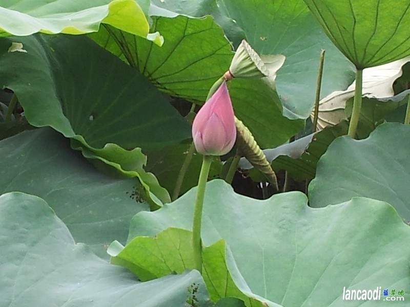 ֮ãģͥ ˹,ͥ,˹ں,໨,ɽ ɢ 120444az00epbezeee13pe