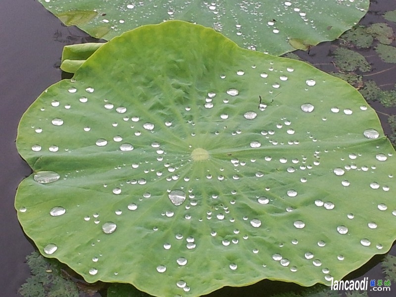 ֮ãģͥ ˹,ͥ,˹ں,໨,ɽ ɢ 120445eabawwwbzzwup944