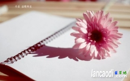 һǡݹڵĽ ,һ,,ݹ,  232624icc80jqcjnqcqj9j