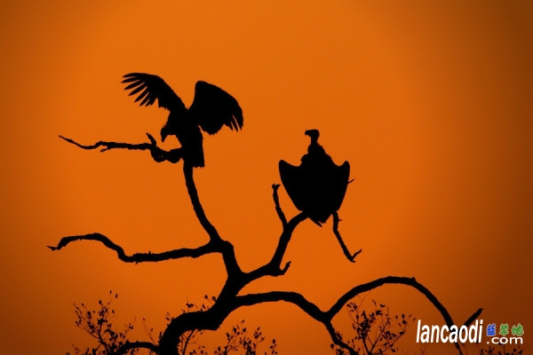 Ӱֻø ,ø ִʫ 133939jmgu9e7gm74xgwj7