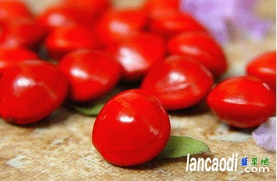 춹Ϊ 춹,Ϊ ɢ 134546r8r76ck1x6pu3ck8