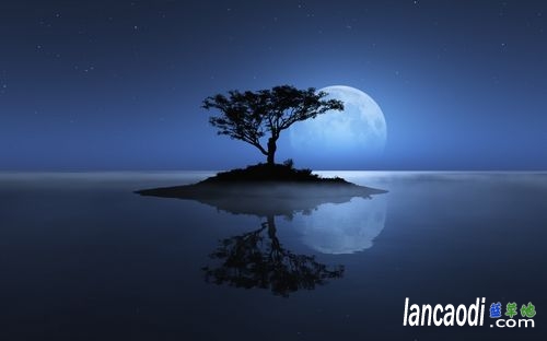 һ¹⣬дһûгȾʫ ¹,û ִʫ 202259e2f2k8bfwppp2q2n