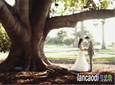 ˵Ѱ ˵, ִʫ 161303p1d92o1tvvd82i2t