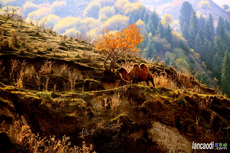 ҹU  Ͻ 131202f85jj87aa0kje864