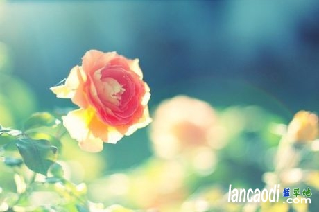 һǹ⣬ҹ6ף һ,ǹ, ִʫ 104037ehq14hsu6oe33ze2