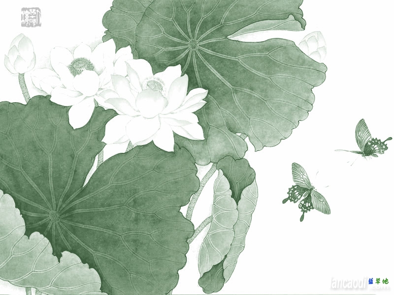 o}  Ͻ 220616siqbtz5ei05akuqz