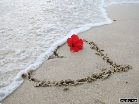   ִʫ 021829jyla3rjayy2vohla