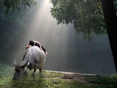 ţϵʱ ʱ ִʫ 013027sltqig8qvicl5uzl