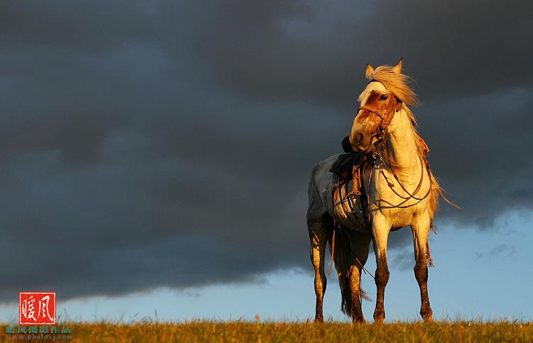 ҵ¥ ҵ¥ ɢ 205915gznqqhvuoaaeseeu