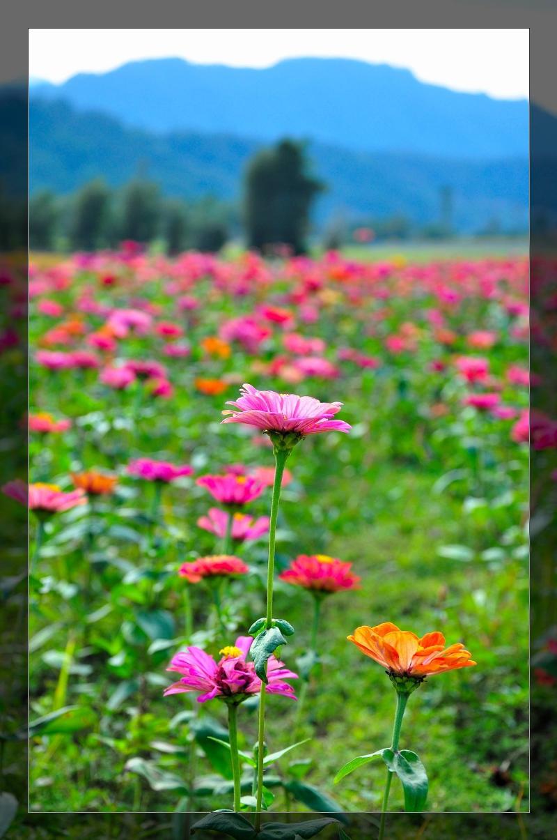 ֱ ֱ  155644pank7lg6zpsb6qn6