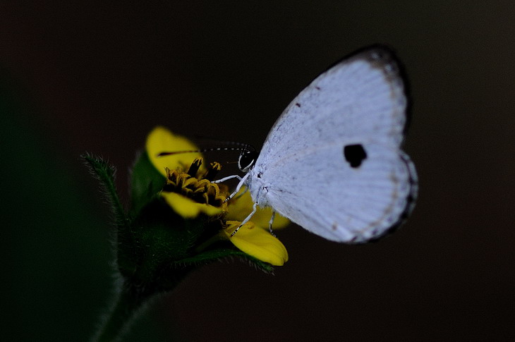 ѧ¶ ѧ¶ ɢ 094448zjydyod4ldbjlm93