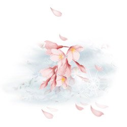 ߾  ҶƮƬƬ ߾,Ʈ,ƬƬ Ͻ 234426fvjxnryxf3ee3p3y