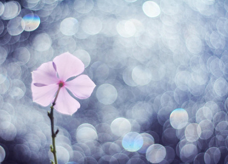 ¼ ¼ ִʫ 214544rv797z42msvfnfk7