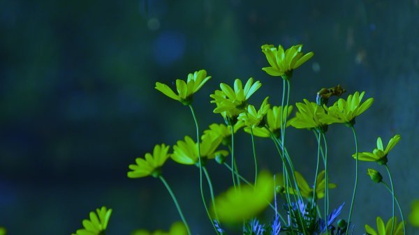   ɢ 212843n7f9qyj7zvqq79cf