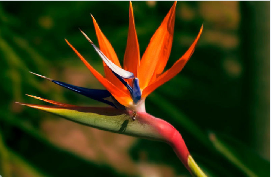  ʦ ,ʦ Ͻ 103758dd8dsardppccpkoc