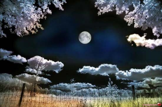 ҹ ҹ Ͻ 174319bkvkubjwk8gv2vgb