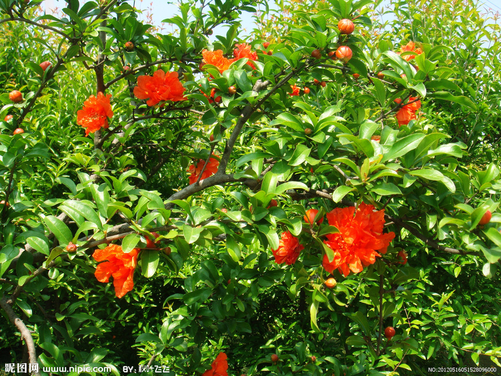 ߾µ˼ ߾,,˼ Ͻ 101353bfc8w80wcsucaahm