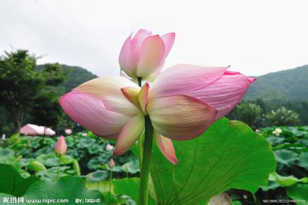   Ͻ 155645nef3bpztvkql1kfe