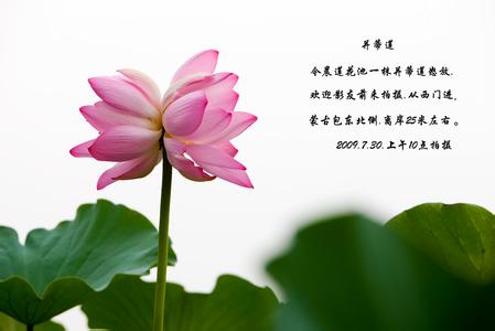   Ͻ 155654kuxq8qga2ctoi8cu