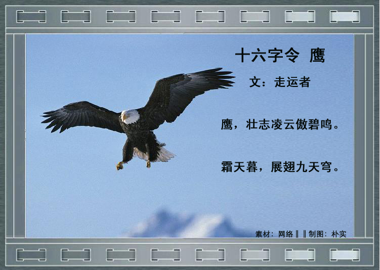 ʮӥ ʮ Ͻ 162935vtd4t9e9l16q4l09