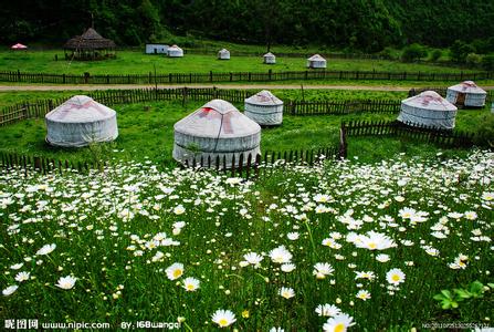 ԭϵ֮ӭ ԭ,ϵ,ӭ ִʫ 164415tg131x333n1p1viv