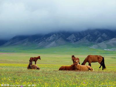 ԭϵ֮ӭ ԭ,ϵ,ӭ Ͻ 170102hbh8bnoofolonjlo