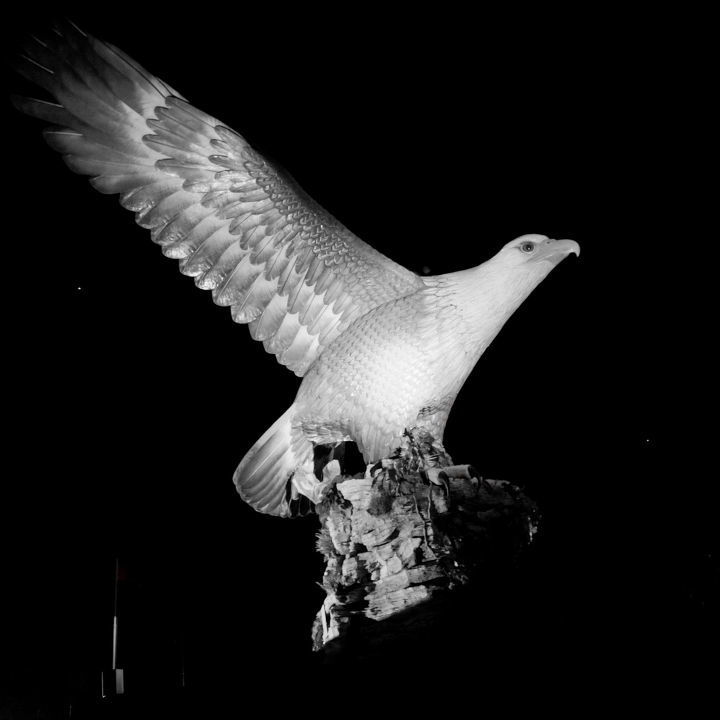 Ͽ   ҹӥ£ ҹӥ, Ͻ 120702tlbymiv8i2eic5ri