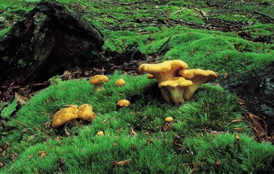 Ģģɽɣ Ģ,ɽ, Ͻ 085430u01w0027n0a2m2a4