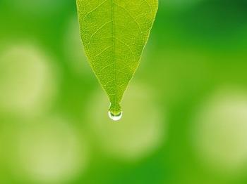 һˮ  ִʫ 204922srffy4frtntrntlb