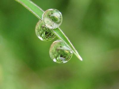 һˮ  ִʫ 205721laczddzlixsgylad