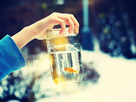 ֿͯʱ ͯ,ֿ,ʱ ɢ 082412s3rzhlx03ezuu2cy