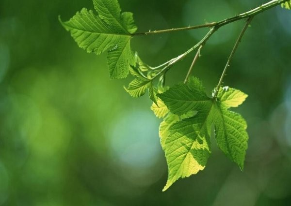 ʢ.. ,, ɢ 211047d3ykc85dnq5d38ci