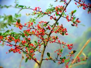 湵  ִʫ 213945yxp91wjjsb0tzfwj