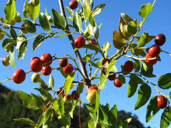 湵  ִʫ 215038j3p2756q7qeqa3ef