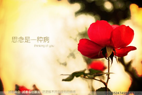 *滨ʾѡ ,滨,, Ͻ 005744pvojjjjtcfwqavqx